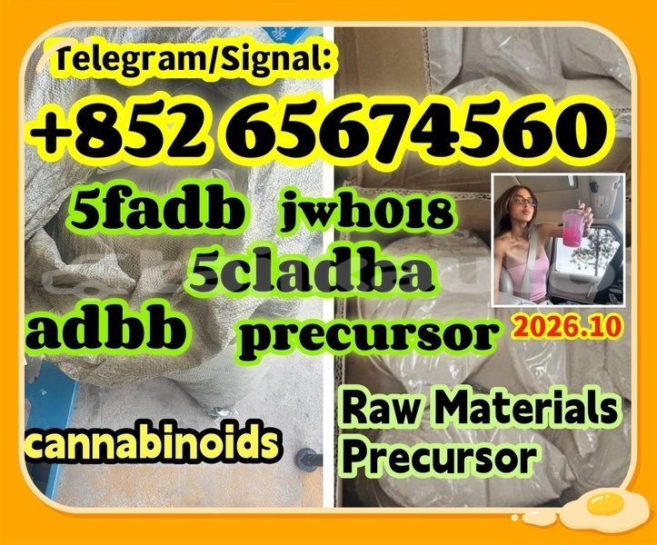 Big with watermark sdgvdfgvbdfbgb %e5%89%af%e6%9c%ac