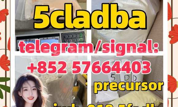 Buy 5cladba- adbb raw in Chkalov in Sughd Buy 5cladba- adbb raw in Chkalov in Sughd