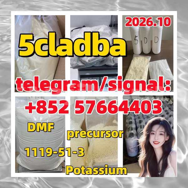 Big with watermark 515