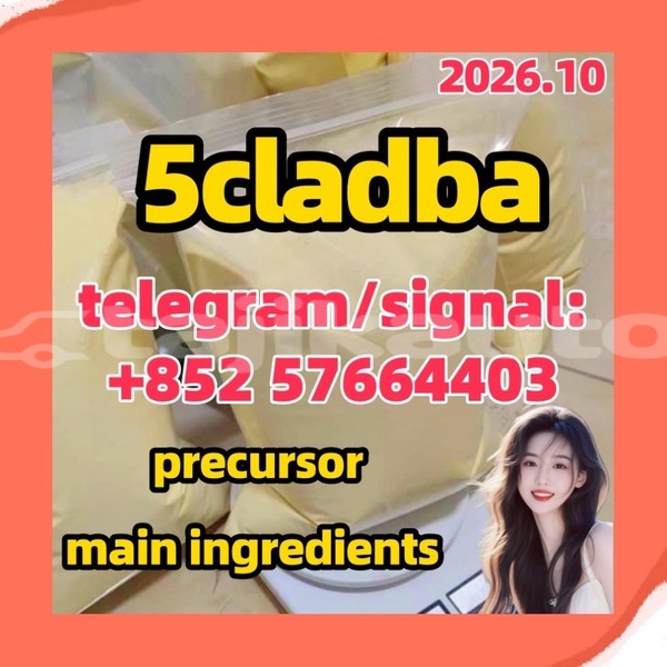 Big with watermark 511