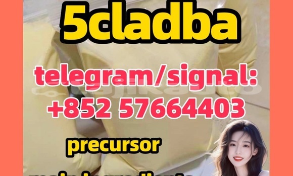 Buy 5CLADBA Raw Material in Buston in Sughd Buy 5CLADBA Raw Material in Buston in Sughd
