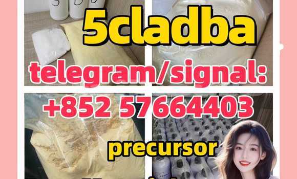 Buy 5cladba China Supplier in Chkalov in Sughd Buy 5cladba China Supplier in Chkalov in Sughd