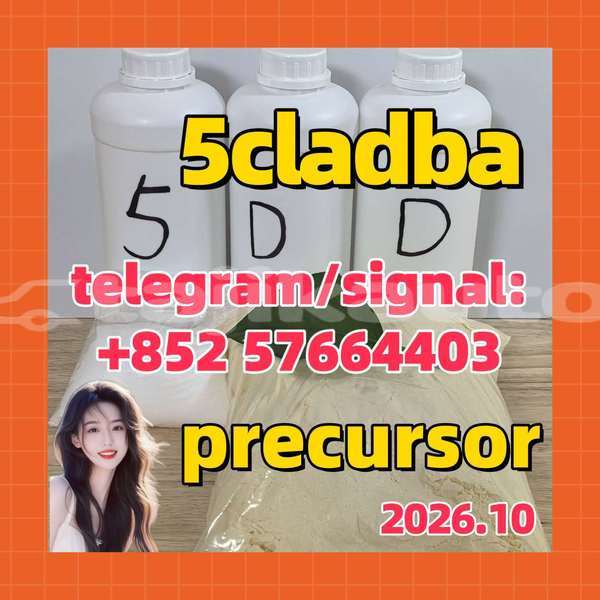 Big with watermark 55