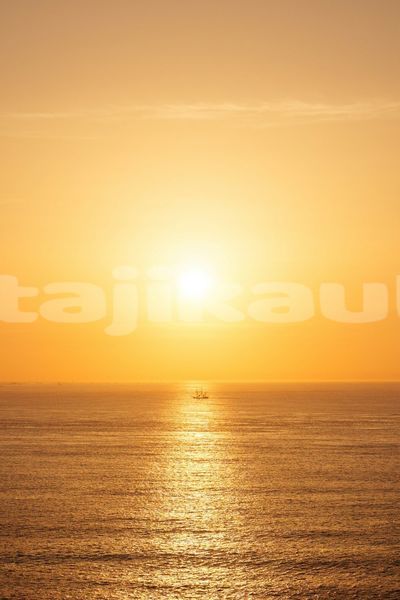 Big with watermark image