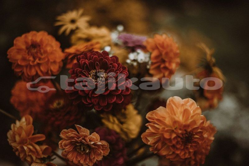 Big with watermark image