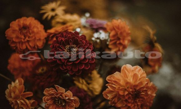 Medium with watermark image