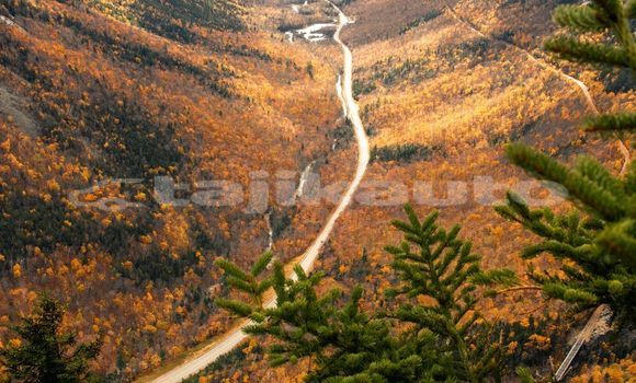 Medium with watermark image