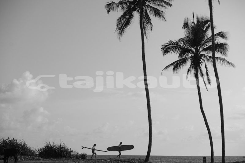 Big with watermark image