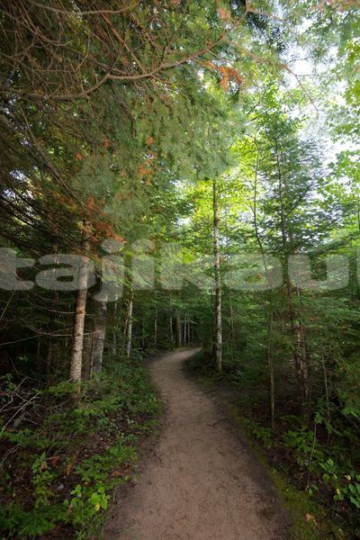 Big with watermark image