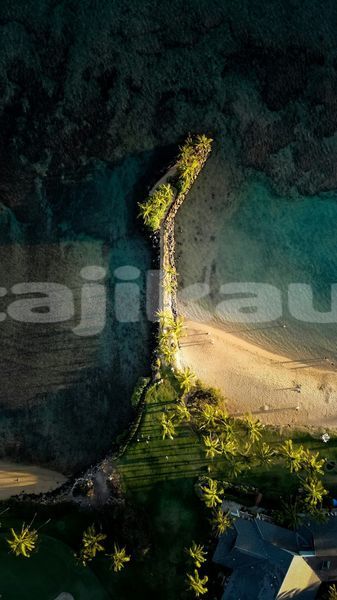 Big with watermark image