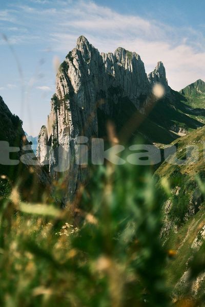 Big with watermark image