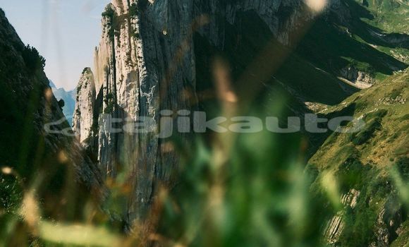 Medium with watermark image