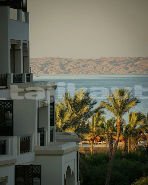 Big with watermark image