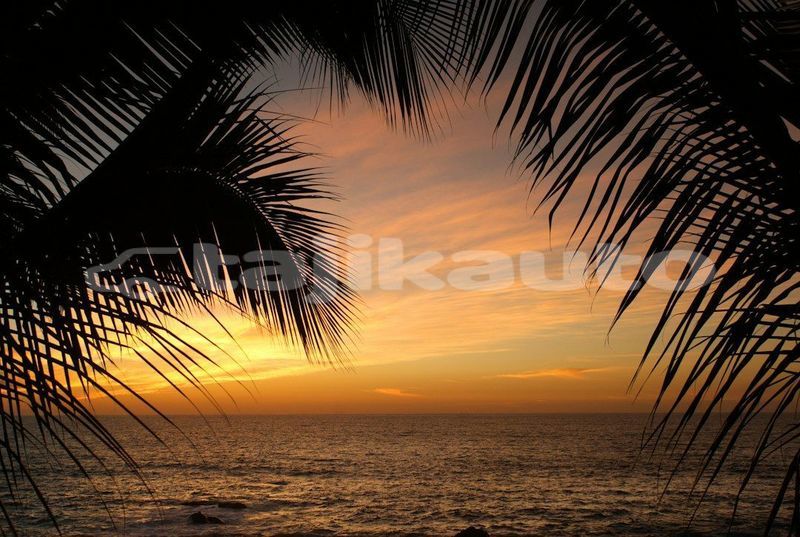 Big with watermark image