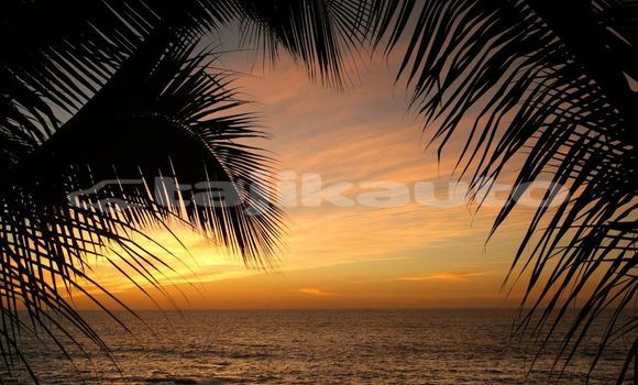 Medium with watermark image