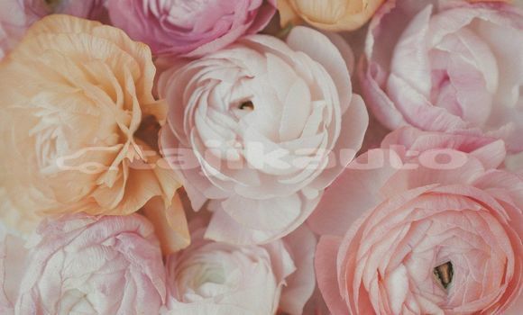 Medium with watermark image
