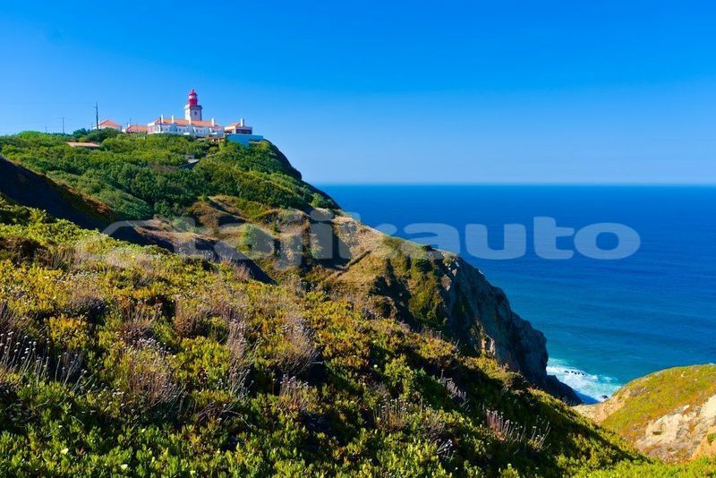 Big with watermark image