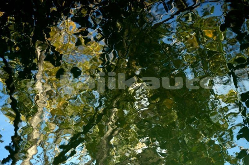 Big with watermark image