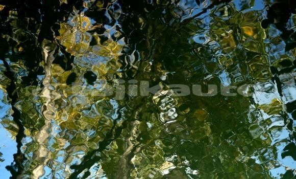 Medium with watermark image