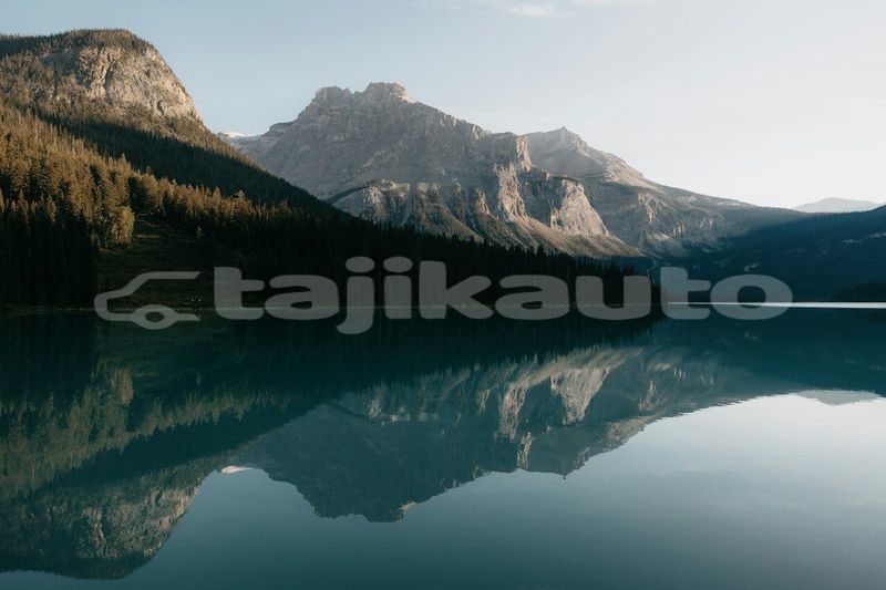 Big with watermark image