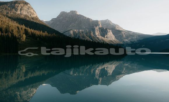Medium with watermark image