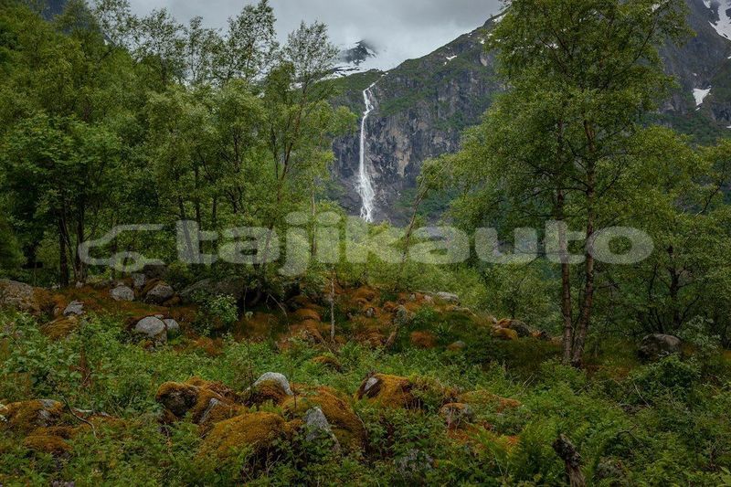 Big with watermark image