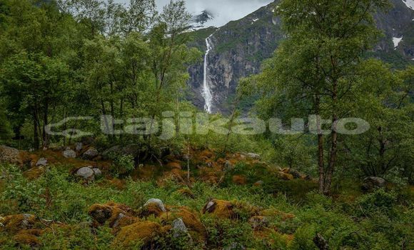 Medium with watermark image