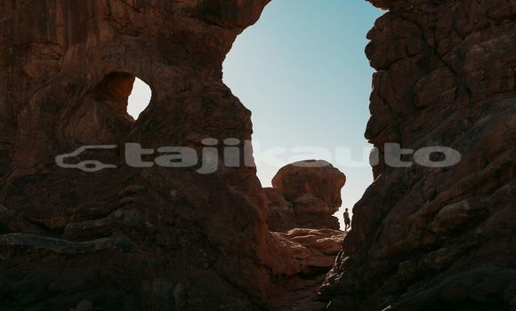 Medium with watermark image
