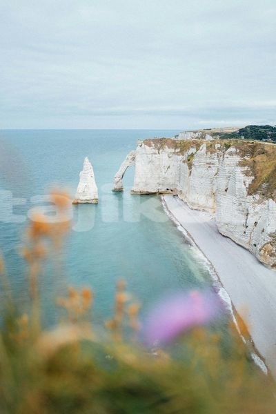 Big with watermark image