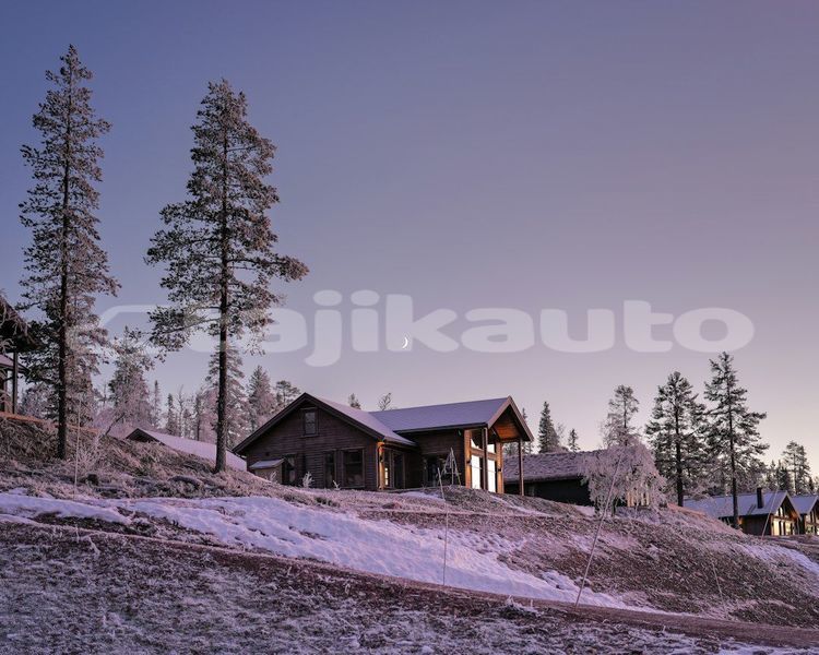 Big with watermark image