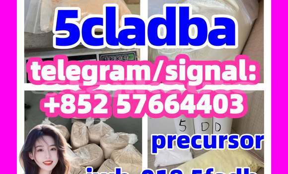 Medium with watermark 51