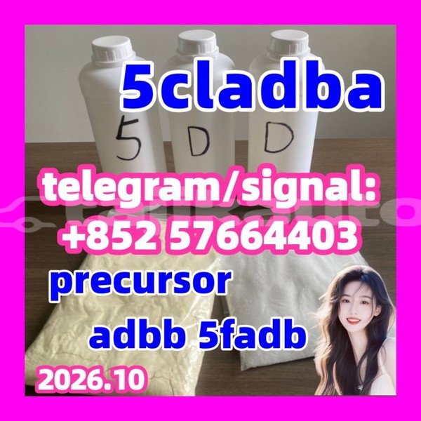 Big with watermark 56