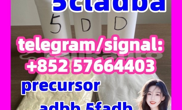 Medium with watermark 56