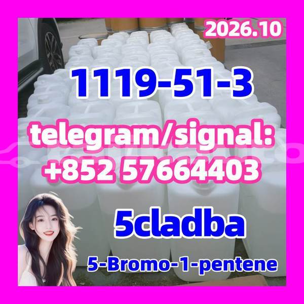 Big with watermark 511