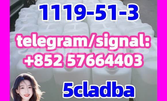 Medium with watermark 511
