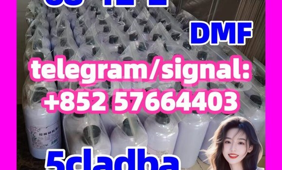 Medium with watermark 512