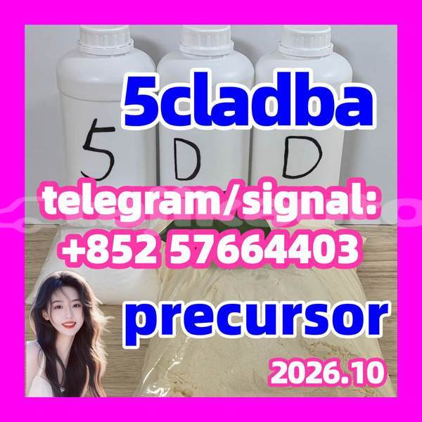 Big with watermark 53