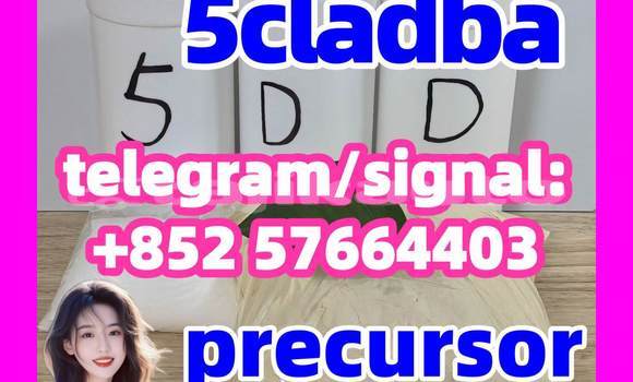 Medium with watermark 53