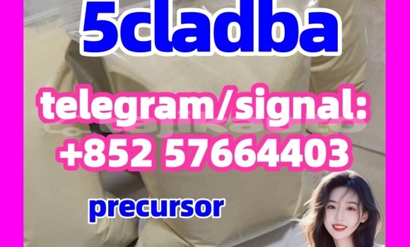 Medium with watermark 58