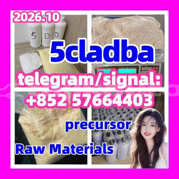 Big with watermark 54