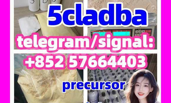 Medium with watermark 54