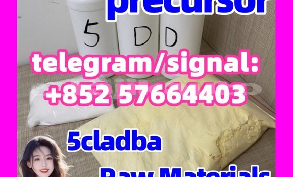 Medium with watermark 59