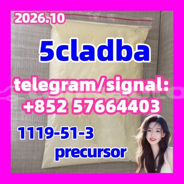 Big with watermark 514