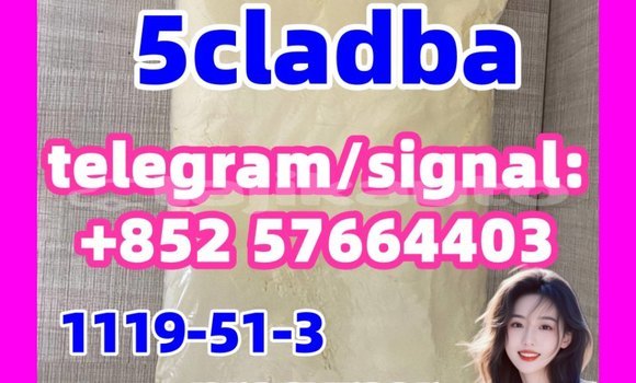Medium with watermark 514