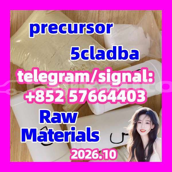 Big with watermark 55