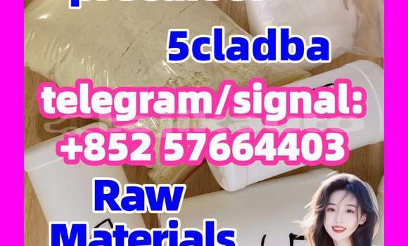 Medium with watermark 55