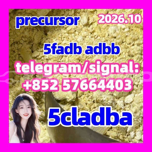 Big with watermark 510