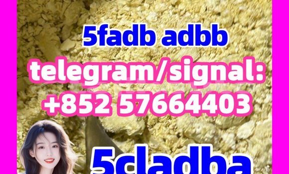 Medium with watermark 510