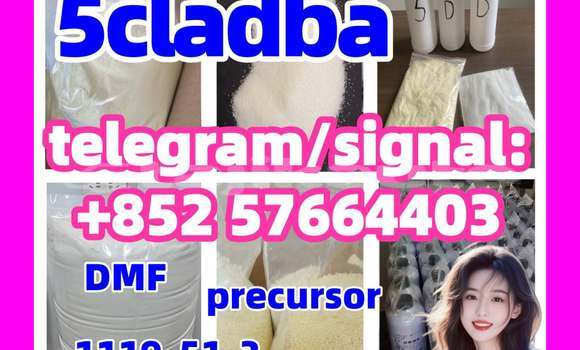 Medium with watermark 515