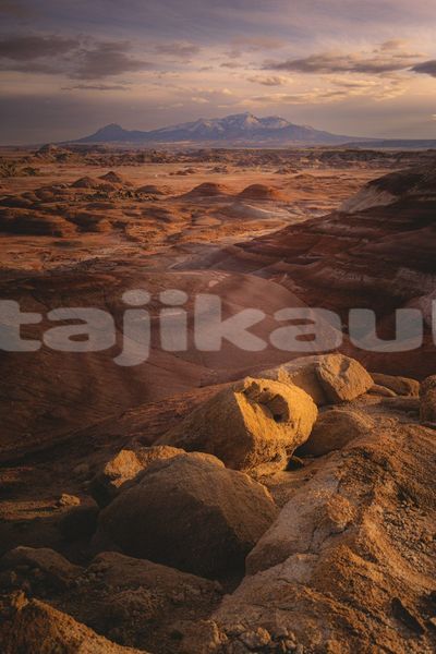 Big with watermark image